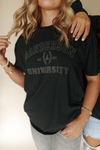 Sanderson University